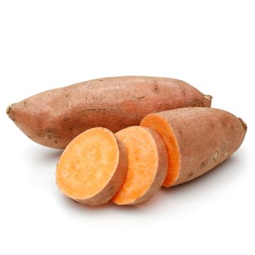  Organic Sweet Potatoes 