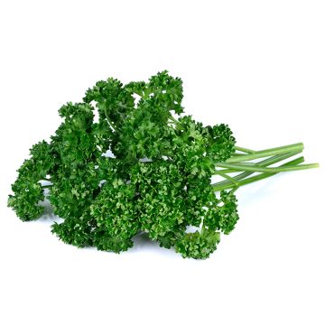 Organic Curly Parsley