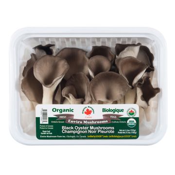 Organic Black Oyster Mushroom   