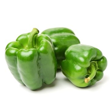 Organic Green Pepper