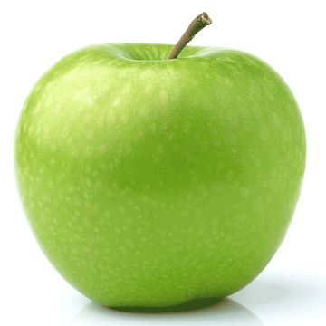 Pomme Granny Smith biologique 