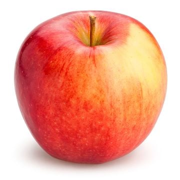 Organic Olympic Red Apples  