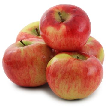 Cortland Organic Apples