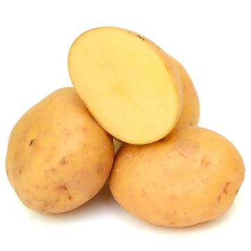 Pomme de terre jaune biologique