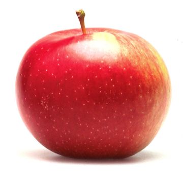 Organic Empire apples