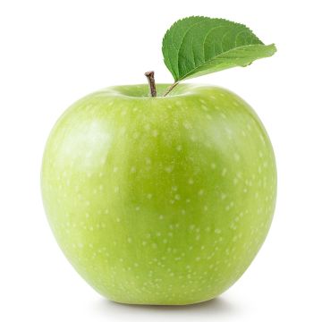 Organic Granny Smith Apples