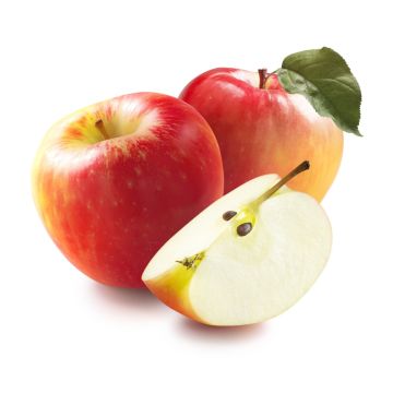 Organic Honey Crisp Apples