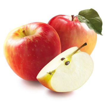 Organic Apple - Honeycrisp  