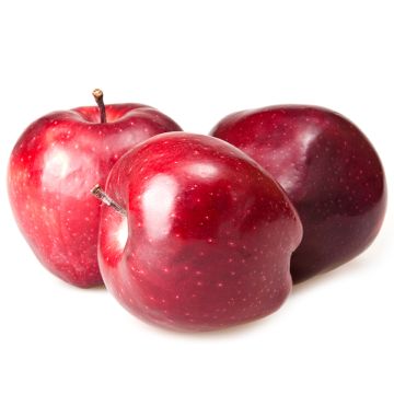 Organic Delicious Red Apples