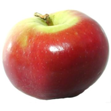 Organic Spartan Apple