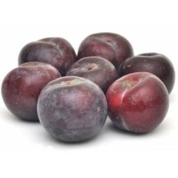 Organic Black Plum