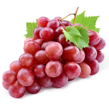 Organic Red Grapes