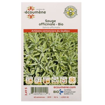 Organic herbs - Sage officinalis