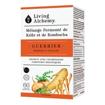 Mélange fermenté de kéfir et de kombucha - Guerrier