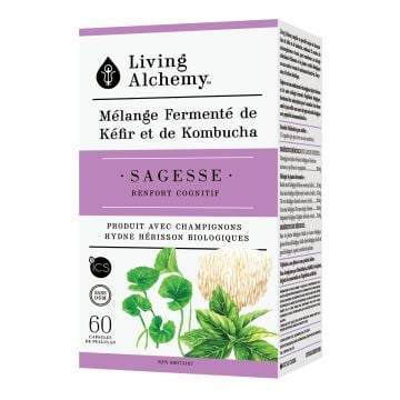 Mélange fermenté de kéfir et de kombucha - Sagesse