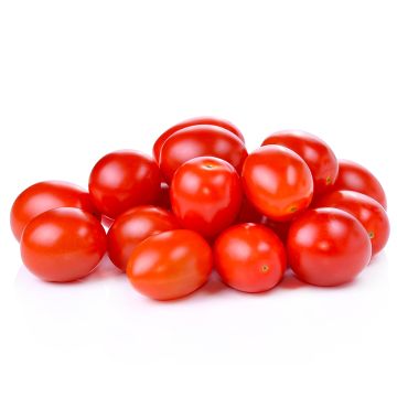 Organic Cerizo Tomato