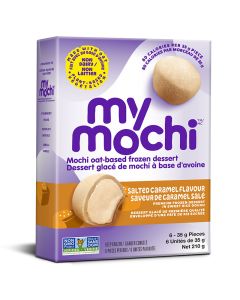 Mochi Oat-based Frozen Dessert Salted Caramel