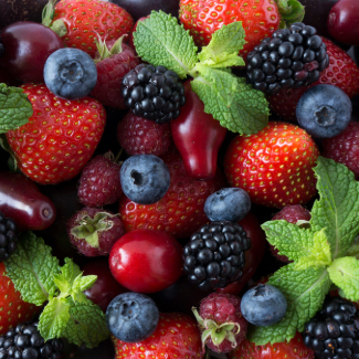 Boite à lunch - fruits 