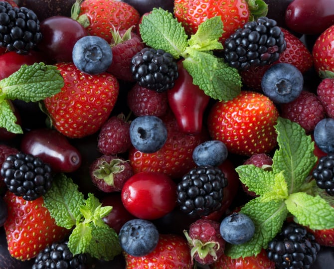 Boite à lunch - fruits 