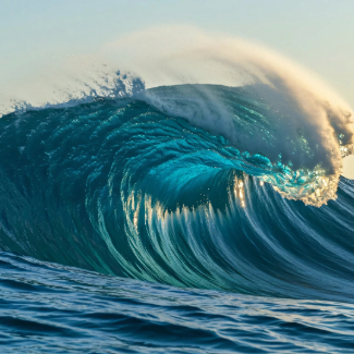 Sea Rich