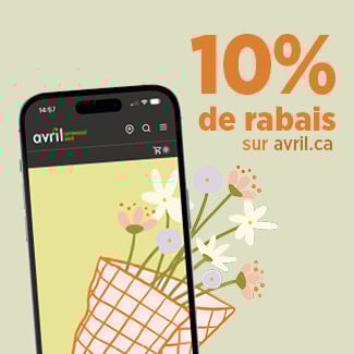Promo web
